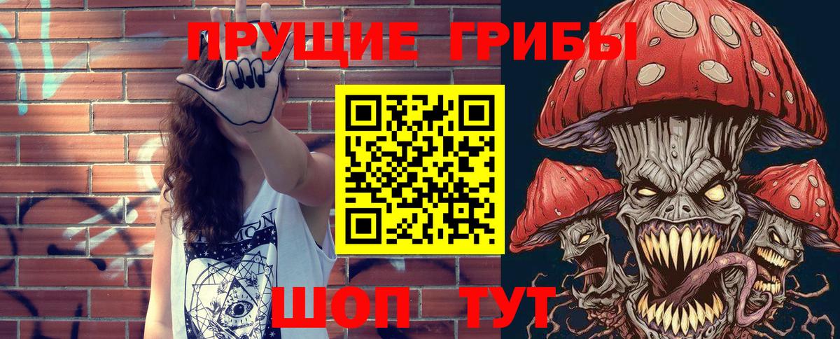 Ессентуки  Псилоцибиновые грибы Psilocybine cubensis  Вход с VPN 