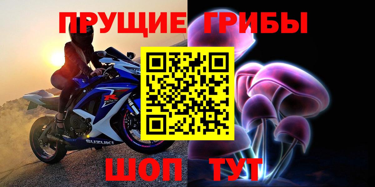 Псилоцибиновые грибы прущие грибы Ессентуки