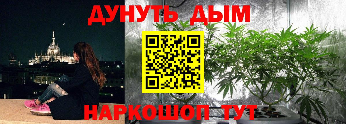 Ессентуки  Бошки марихуана OG Kush  Марихуана MAZAR  МАРИХУАНА гибрид  Вход с VPN 